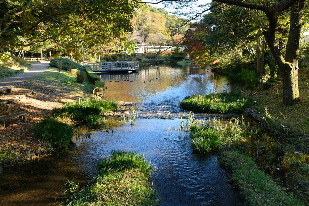 道保川公園
