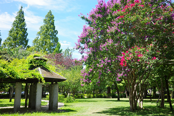 横山公園